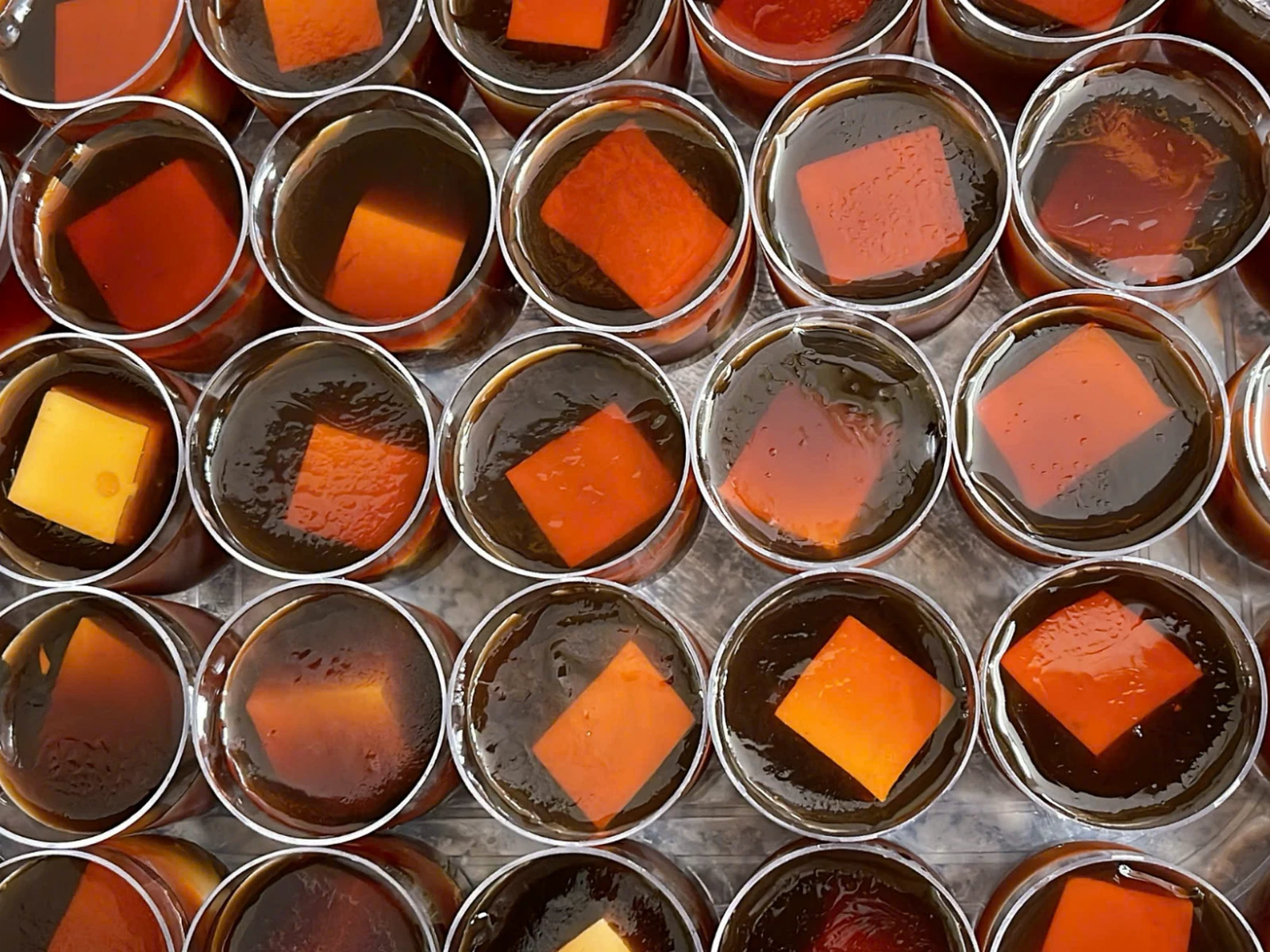 Rau Câu Cafe Flan