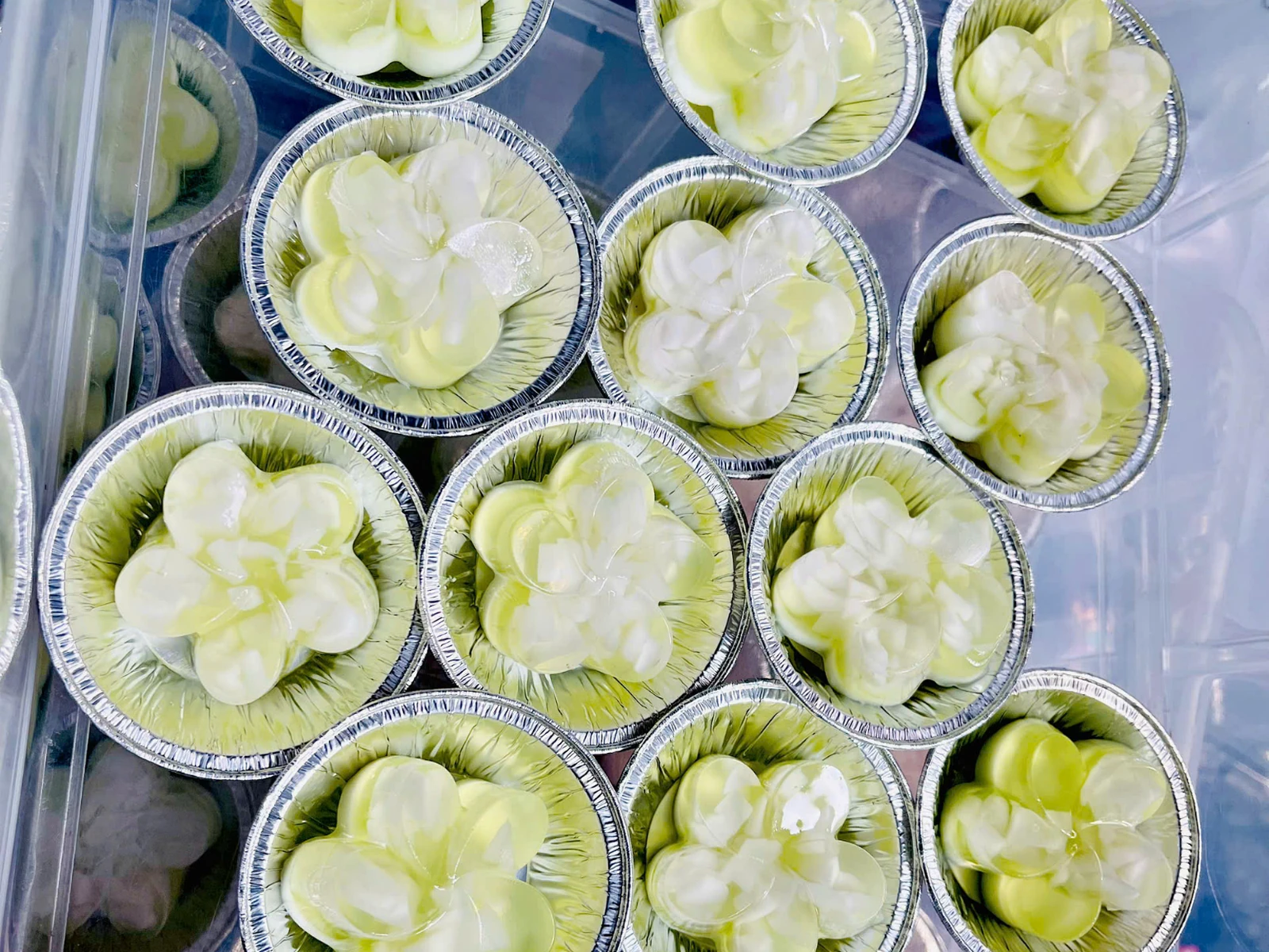 Rau Câu Dừa