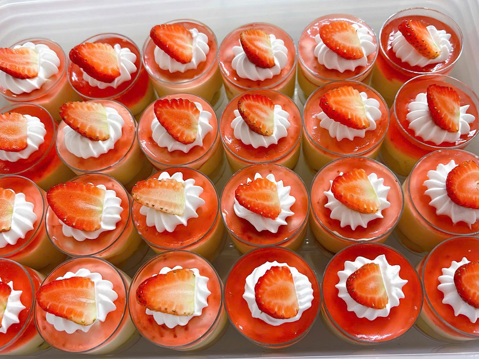 Tiramisu Trái Cây Nhiệt Đới